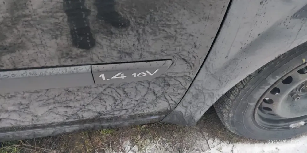 Renault Scenic 2004 год Суклея Суклея - изображение 2